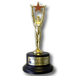 remi-bronze-award